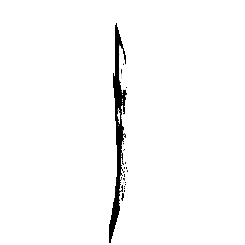 frame 035 delay 0.02s.gif