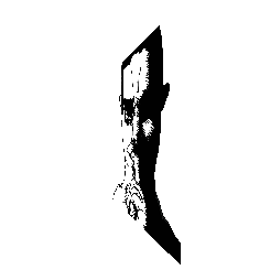 frame 046 delay 0.02s.gif