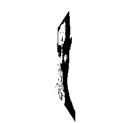 frame 043 delay 0.02s.gif