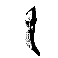 frame 047 delay 0.02s.gif