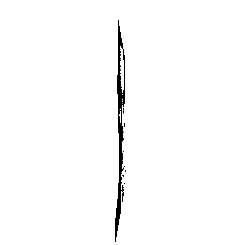 frame 036 delay 0.02s.gif