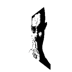 frame 048 delay 0.02s.gif