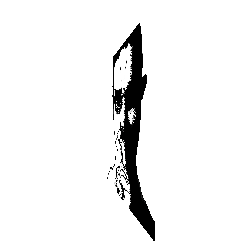 frame 044 delay 0.02s.gif