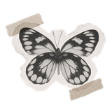 tumblr 31eb33c76709a7a87c8c8e3faa148955 d667f1e2 500.png