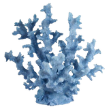 tumblr 6e51d8a45d933e0622e62742e1be5186 c97837bb 500.png