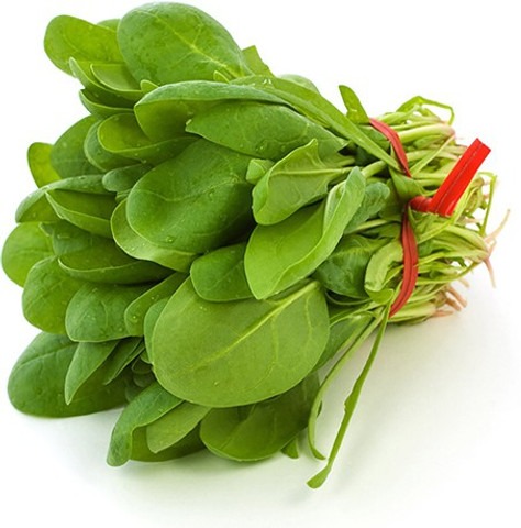 200 amaranthus green amaranth se.jpg