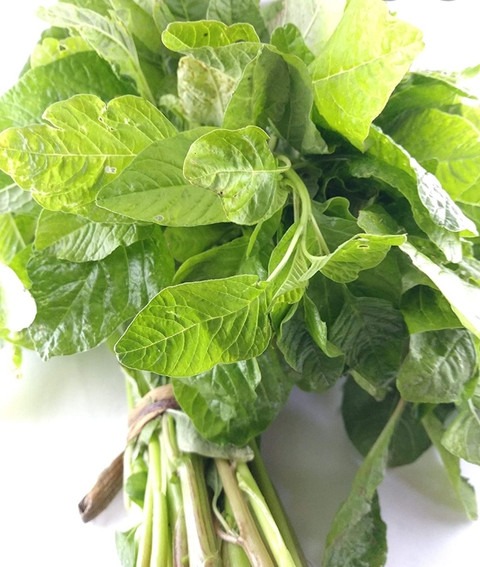 3300 green amaranthus seeds ecof.jpg