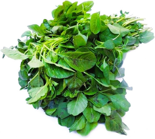 611cf0w86NL. AC UF1000,1000 QL80.jpg