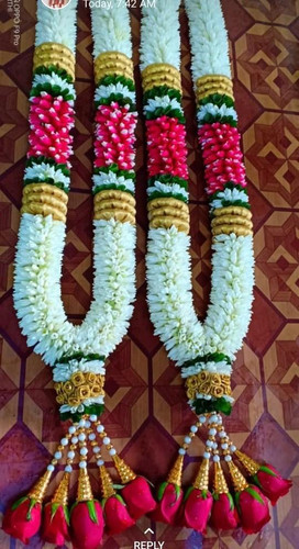 WhatsApp Image 2026 02 02 at 7.47.47 PM (1).jpg