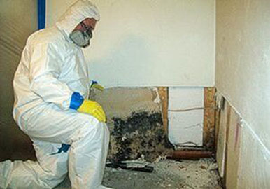 Mold Removal and Water Damage Restoration by Mold Men of Pittsburgh.jpg