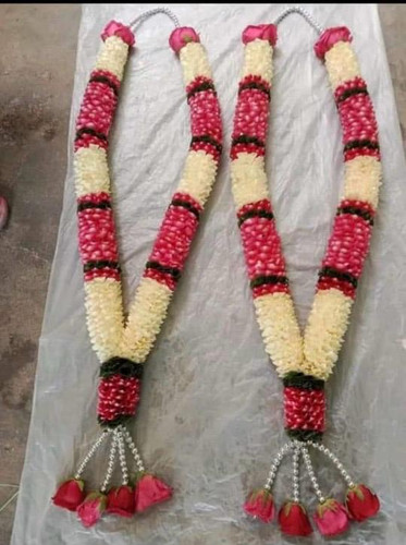 WhatsApp Image 2026 02 02 at 7.47.46 PM.jpg