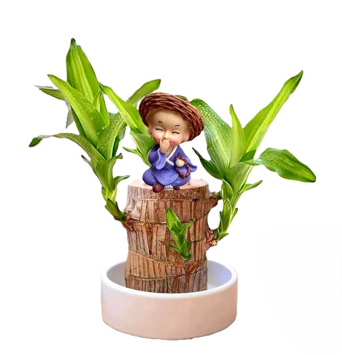 7f29c620 16fc 4dc3 b40c c6af28c6f5e5 Copy.jpg