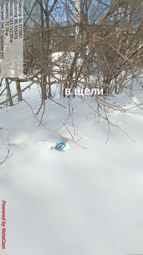 466.jpg