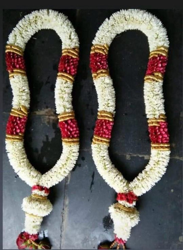 WhatsApp Image 2026 02 02 at 7.47.46 PM (6).jpg