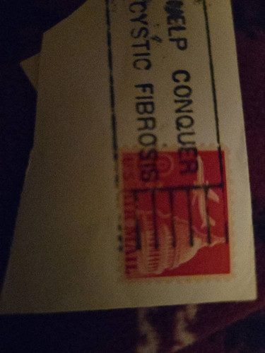 cf0ba4d958cd.jpg