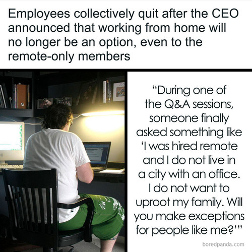 ceo work from home reddit.jpg