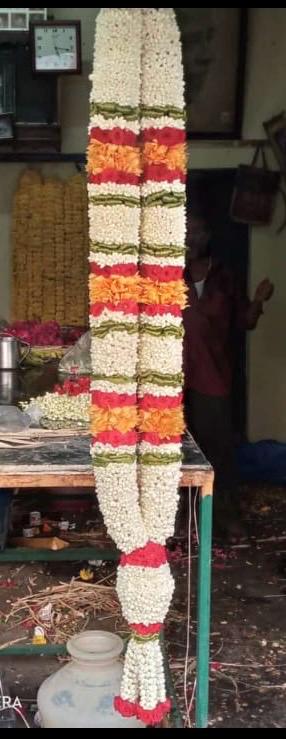 WhatsApp Image 2026 02 02 at 7.47.46 PM (9).jpg