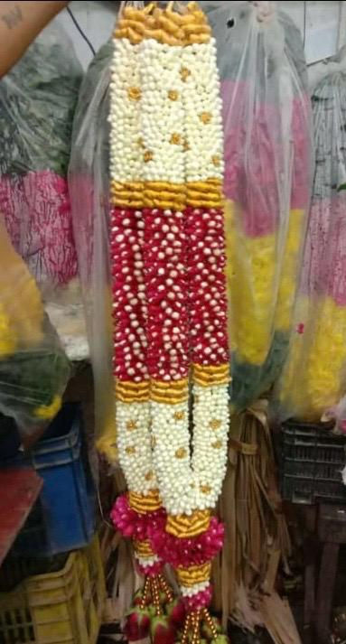 WhatsApp Image 2026 02 02 at 7.47.45 PM (2).jpg