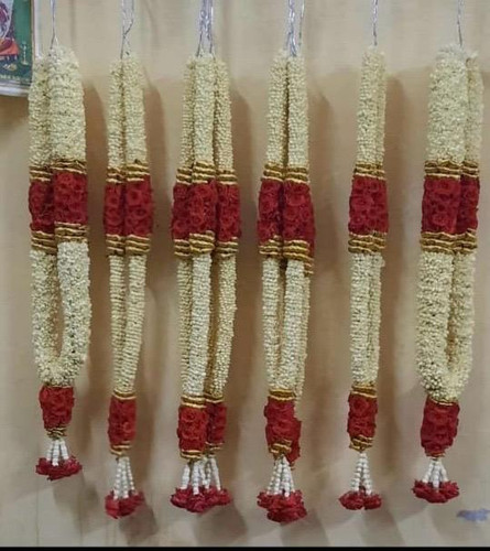 WhatsApp Image 2026 02 02 at 7.47.45 PM (4).jpg