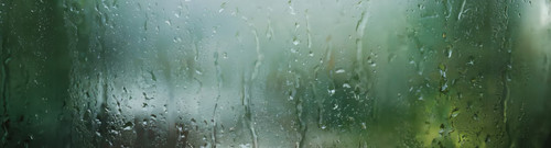 IMG 20260223 125010.jpg