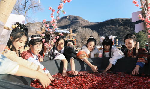 27b64672dec6adbd7475ddb8aa930130 副本.png
