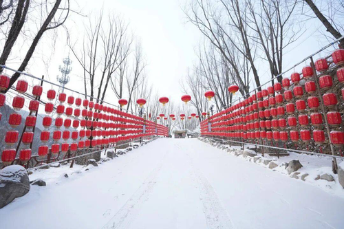 5c089e5c2930c96b2881da58c9109888 副本.png