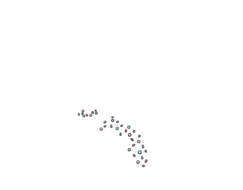 1000003840.png