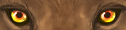 sectsunglowsunset1.png