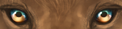 sectaquaaridoasis.png