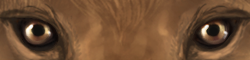 sectcoconutcoffee.png