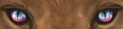 sectdovebirman2.png