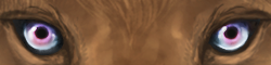 sectdovebirman1.png