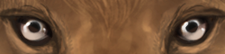 sectcoconutporc1.png