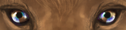 sectflaxcoffee.png