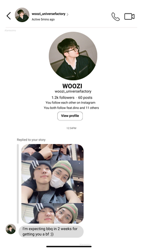 Copy of Instagram Posts, DMs and Profile Templates V2 Light Replied to your story, you follow each o.png
