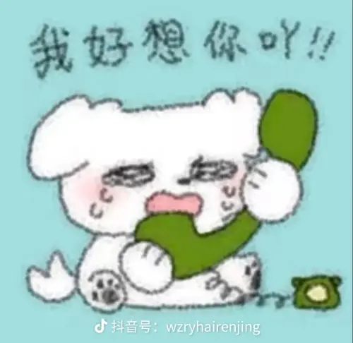 share 4e1cd9c024f606a272c8362addd99833.webp