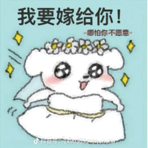 share cdc24cda5161080530db5156a677c4b3.webp