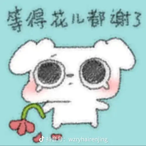 share 6cc42b9601e997902cd67e3c3b170419.webp