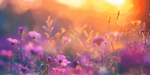 tipos de flore.webp