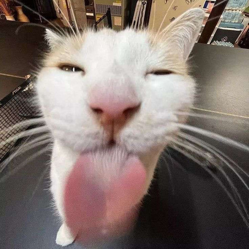 file.jpg