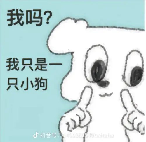 share b3d99b9f46795e12eb189fe67daff291.webp