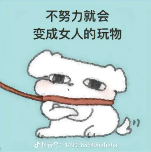 share 7ffc6151053091e52c21169cbfae6a30.webp