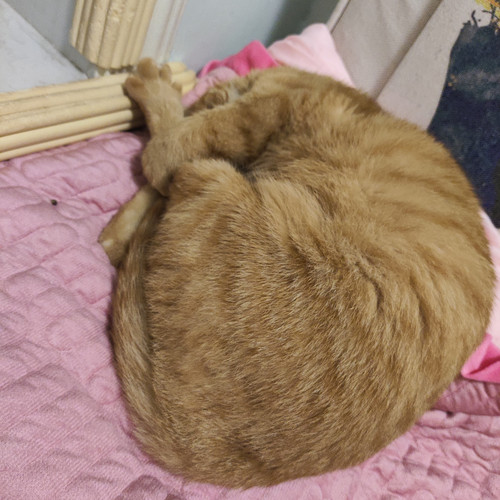 1000121179.jpg