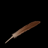 GIF 20260223 072555 976.gif