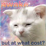 cdc33d4f3197.png