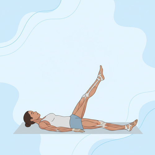 pinterest physical rehab 1771577139849.png