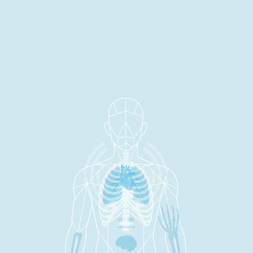 pinterest radiology 1771577437394.png