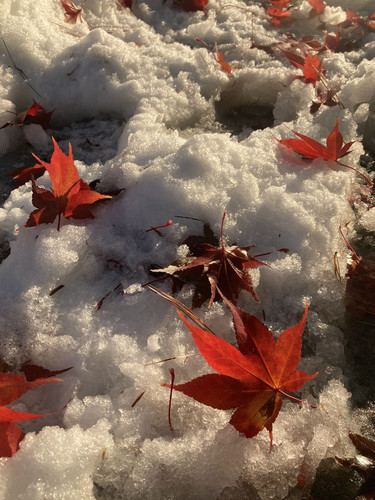 ดาวน์โหลด 2026 02 23T185123.327.jpg