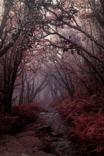 ดาวน์โหลด 2026 02 23T185136.204.jpg