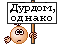 novye kolobki116.gif